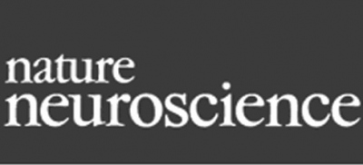 The idiosyncratic brain: Distortion of spontaneous connectivity patterns in autism spectrum disorder
